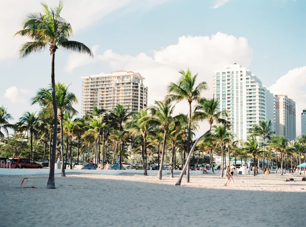 Why Treetop Trekking in Miami